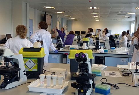 Science summer school students participating in a DNA forensic investigation lab session