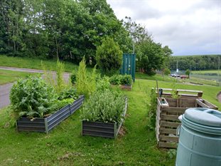 Falmer Library Allotment