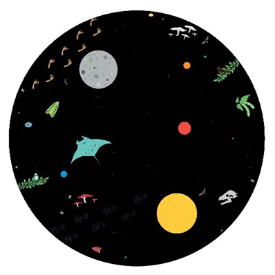 Image of black globe with coloured graphics of planets and nature student work Katie Cunningham